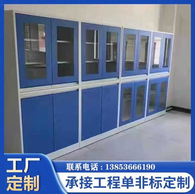 山東實驗室家具全鋼器皿柜通風試劑柜廠家供應