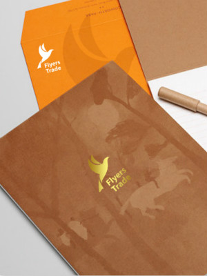 飛鳥(niǎo)貿(mào)易LOGO設(shè)計(jì)