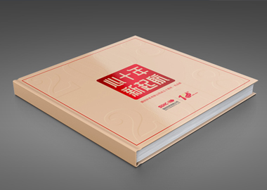 國(guó)投財(cái)務(wù)宣傳冊(cè)設(shè)計(jì)